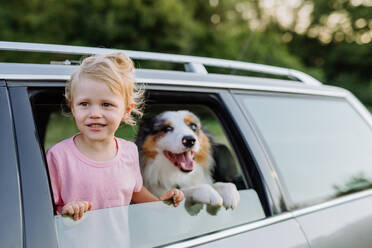 Kleines Mädchen und ihr Hund sitzen in einem Auto und sind auf einen Familienausflug vorbereitet, - HPIF11810