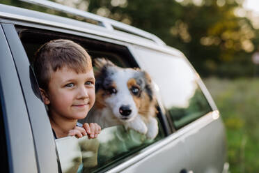 Kleines Mädchen und ihr Hund sitzen in einem Auto und sind auf einen Familienausflug vorbereitet, - HPIF11813