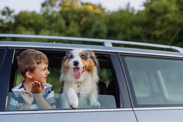 Kleines Mädchen und ihr Hund sitzen in einem Auto und sind auf einen Familienausflug vorbereitet, - HPIF11814