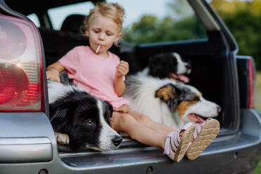 Kleines Mädchen und ihre Hunde sitzen in einem Auto und bereiten sich auf einen Familienausflug vor, - HPIF11816