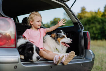 Kleines Mädchen und ihre Hunde sitzen in einem Auto und bereiten sich auf einen Familienausflug vor, - HPIF11817