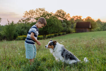 Kleiner Junge mit seinem Hund in der Natur. - HPIF11829