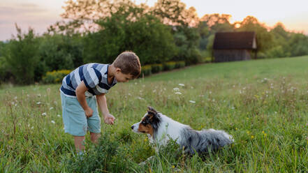 Kleiner Junge trainiert seinen Hund in der Natur. - HPIF11830
