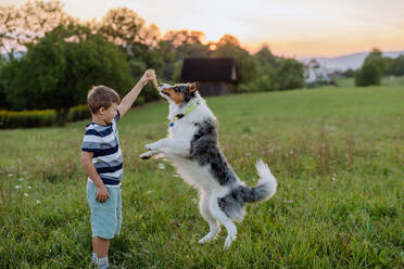 Kleiner Junge trainiert seinen Hund in der Natur. - HPIF11831