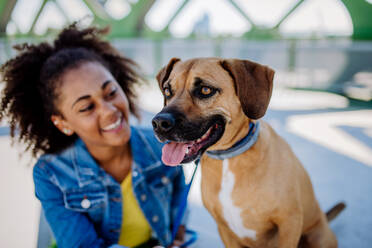 Multirassisches Mädchen sitzt und ruht sich mit ihrem Hund draußen auf der Brücke aus, trainiert ihn, verbringt die Freizeit zusammen. Konzept der Beziehung zwischen einem Hund und Teenager, Alltag mit Haustier. - HPIF11863