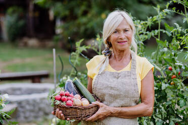 Porträt einer älteren Bäuerin, die einen Korb mit der Herbsternte aus ihrem Garten hält. - HPIF11941