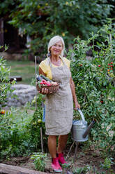 Ein älterer Bauer hält einen Korb mit der Herbsternte aus dem Garten. - HPIF11942