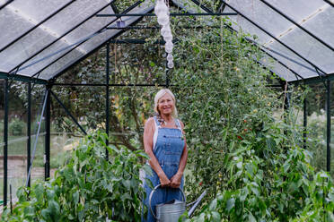 Ältere Frau im Garten zu Hause beim Bewässern von Gemüse in einem Gewächshaus. - HPIF11963