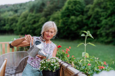 Senior woman watering flowers on terrace and enjoying view at forest. - HPIF11982