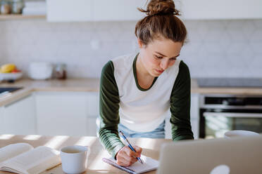 Young woman having homeoffice in a kitchen. - HPIF12052