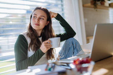 Junge Frau mit Homeoffice in einer Wohnung. - HPIF12068