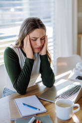 Young woman having homeoffice in an apartment. - HPIF12081