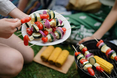 High angle view of a vegetable prepared for babrbecue. - HPIF12233