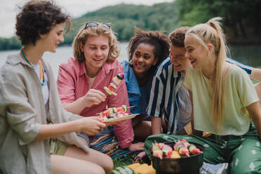 Eine Gruppe multirassischer junger Freunde zeltet auf einem Campingplatz in der Nähe eines Sees und grillt gemeinsam. - HPIF12235