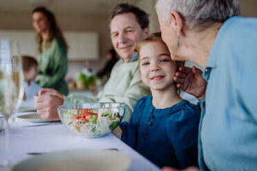 Glückliche Mehrgenerationenfamilie beim gemeinsamen Osteressen. - HPIF12817