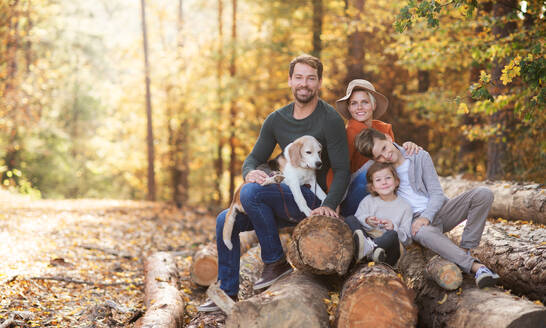 Porträt einer schönen jungen Familie mit kleinen Kindern und Hund im Herbstwald. - HPIF12959