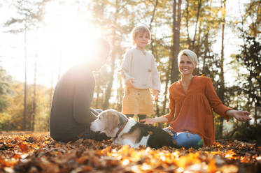 Schöne junge Familie mit kleiner Tochter und Hund sitzt im Herbstwald und ruht sich aus. - HPIF12969