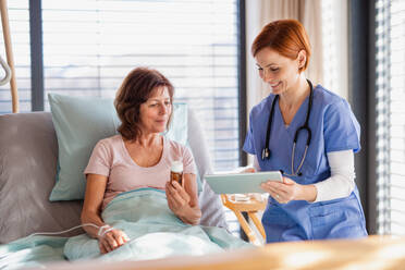 Vorderansicht einer Ärztin mit Tablet, die mit einem Patienten im Bett im Krankenhaus spricht. - HPIF13029