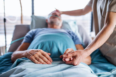 Unrecognizable female doctor examining senior man in bed in hospital, holding hands. - HPIF13039