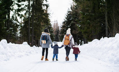 Rückansicht einer Familie mit zwei kleinen Kindern, die sich in der winterlichen Natur an den Händen halten, beim Spaziergang im Schnee. - HPIF13337