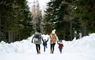 Rückansicht einer Familie mit zwei kleinen Kindern, die sich in der winterlichen Natur an den Händen halten, beim Spaziergang im Schnee. - HPIF13338