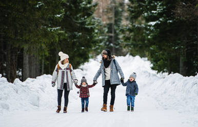 Frontalaufnahme von Vater und Mutter mit zwei kleinen Kindern in winterlicher Natur, die im Schnee spazieren gehen. - HPIF13339