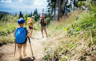 Rückansicht eines kleinen Jungen mit Familie beim Wandern in der sommerlichen Natur. - HPIF13376