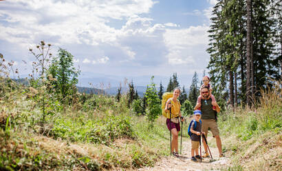 Frontansicht einer Familie mit kleinen Kindern beim Wandern in der sommerlichen Natur. - HPIF13377