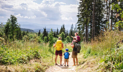 Rückansicht einer Familie mit kleinen Kindern beim Wandern in der sommerlichen Natur, im Gespräch. - HPIF13378