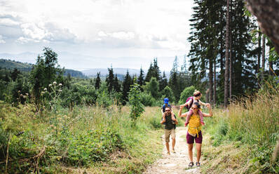 Frontansicht einer Familie mit kleinen Kindern beim Wandern in der sommerlichen Natur. - HPIF13380