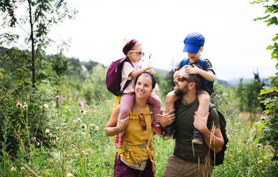 Frontansicht einer Familie mit kleinen Kindern beim Wandern in der sommerlichen Natur. - HPIF13383
