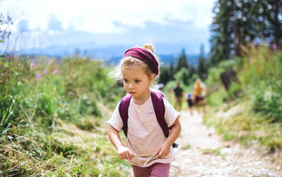 Front view portrait of small toddler girl outdoors in summer nature, walking. - HPIF13391