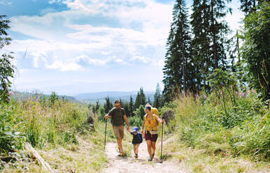 Front view of family with small son hiking outdoors in summer nature. - HPIF13392