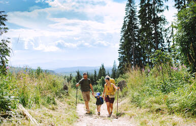 Frontansicht einer Familie mit kleinem Sohn beim Wandern in der sommerlichen Natur. - HPIF13392