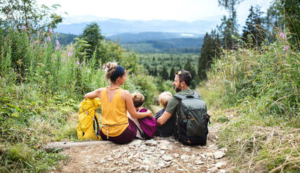 Rückansicht einer Familie mit kleinen Kindern, die im Sommer in der Natur wandern und sich ausruhen. - HPIF13407