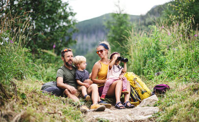 Vorderansicht einer Familie mit kleinen Kindern, die in der sommerlichen Natur wandern, sitzen und sich ausruhen. - HPIF13408