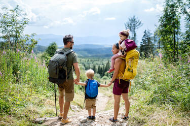 Rear view of family with small children hiking outdoors in summer nature, standing and resting. - HPIF13416