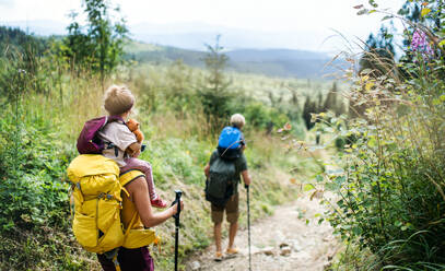 A rear view of family with small children hiking outdoors in summer nature, walking. - HPIF13419
