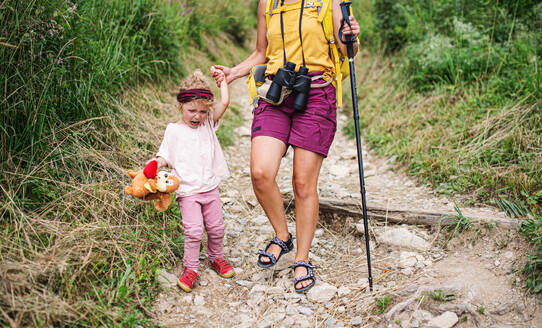 Midsection of unrecognizable mother with small crying daughter hiking outdoors in summer nature. - HPIF13421