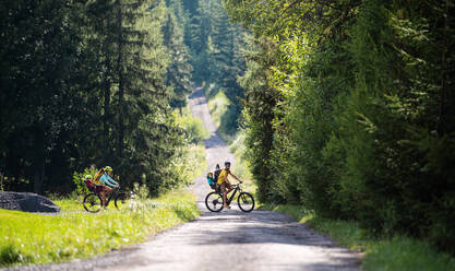 Glückliche Familie mit kleinen Kindern beim Radfahren in der sommerlichen Natur. - HPIF13444