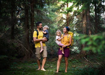 Family with small children walking barefoot outdoors in summer nature, forest bathing concept. - HPIF13451