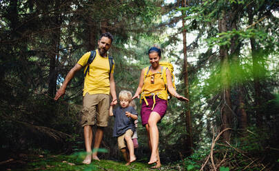 Familie mit kleinen Kindern, die barfuß in der sommerlichen Natur spazieren gehen, Konzept des Waldbadens. - HPIF13452