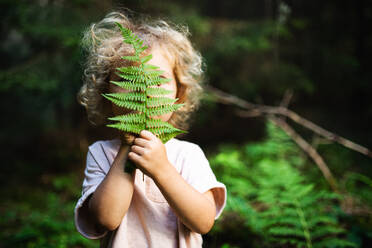 Unerkennbar glückliches kleines Kind im Freien in sommerlicher Natur, das sich vor einem Farnblatt versteckt. - HPIF13459