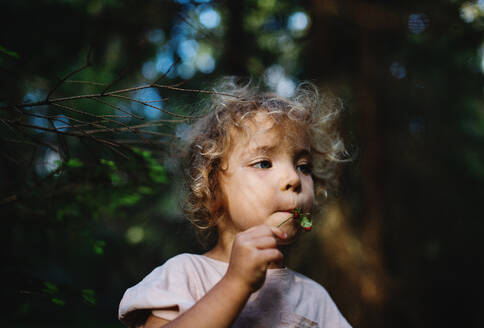 Porträt eines glücklichen kleinen Mädchens im Freien in der Natur, das Erdbeeren im Wald isst. - HPIF13460