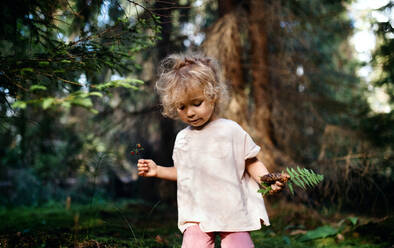 Front view portrait of small toddler girl outdoors in summer nature, holding strawberries. - HPIF13461