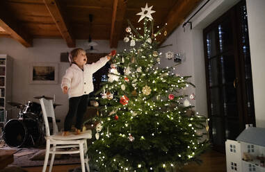 Porträt eines glücklichen kleinen Jungen, der zu Hause den Weihnachtsbaum schmückt. - HPIF13556