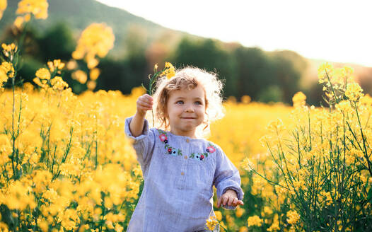 Vorderansicht eines glücklichen kleinen Mädchens, das im Frühling in der Natur in einem Rapsfeld läuft. - HPIF13958