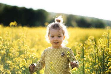 Front view of happy small toddler girl standing in spring nature in rapeseed field. - HPIF13959