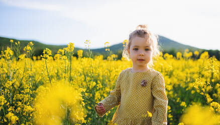 Front view of happy small toddler girl standing in spring nature in rapeseed field. - HPIF13961