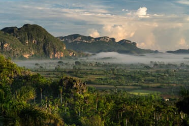 Val de Vinales, UNESCO-Weltkulturerbe, Frühnebel, Vinales, Kuba, Westindien, Karibik, Mittelamerika - RHPLF23920